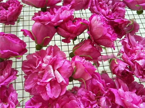 �՚��ܟ��õ�廨��ɰ���